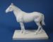 Horse, a plain undressed horse