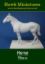 Horse, a plain undressed horse